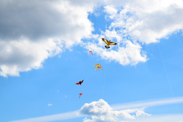 multi colored kites in the blue sky background