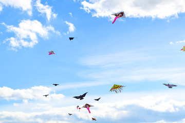 multi colored kites in the blue sky background