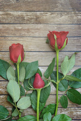 Fresh red roses flower on wooden table