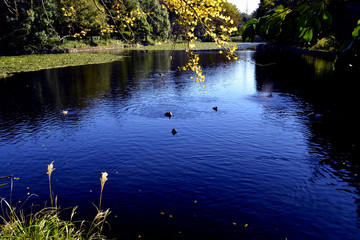 三ッ池公園の秋