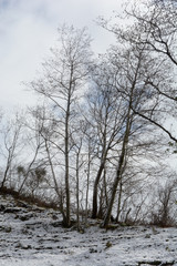 Paesaggio montano innevato, in Campania, Sud Italia. Gennaio 2019.