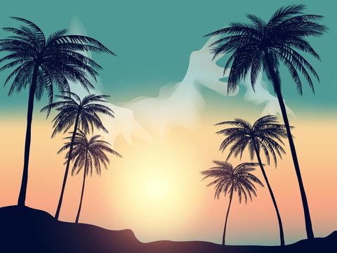Summer tropical backgrounds with palms, sky and sunset.