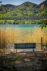 Empty bench at a lake on a sunny day in summer