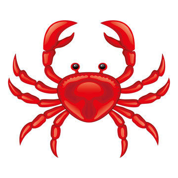 Red crab icon on a white background.