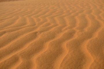 Sand in the desert