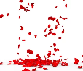 Photo sur Plexiglas Roses De nombreux pétales de rose tombent sur le sol