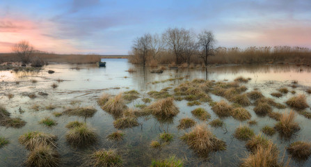 Panorama of the river bank during the spring flood.