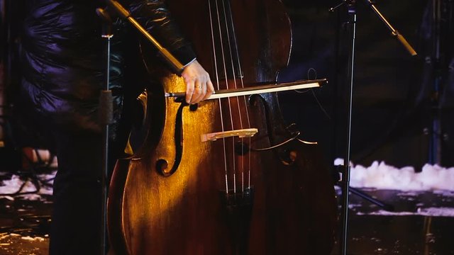 Double bass. Musical instrument double bass