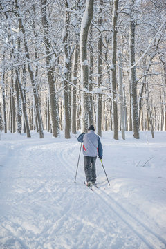 One skier back view skiing in the snowy forest on sunny day