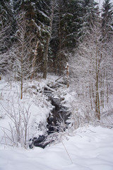 creek in cold winter