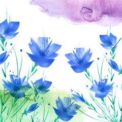 Watercolor painting. A bouquet of flowers of Blue poppies, wildflowers on a white isolated background. watercolor floral illustration, logo. Abstract green, blue,Violet splash of watercolor paint