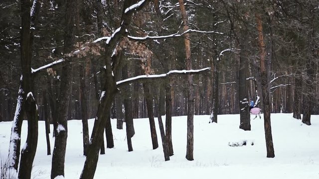 The horse runs through the winter forest