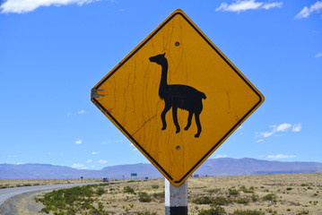 Achtung Lama, Straßenschild, Peru