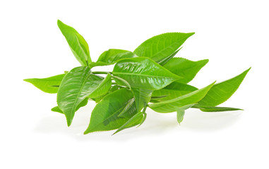 green tea leaf isolated on white background
