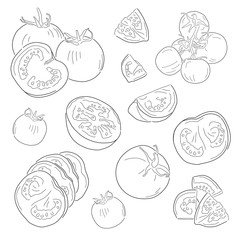 set of tomatos pieces