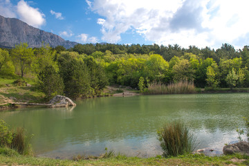 Fototapeta na wymiar mountain lake at the foot of the rock