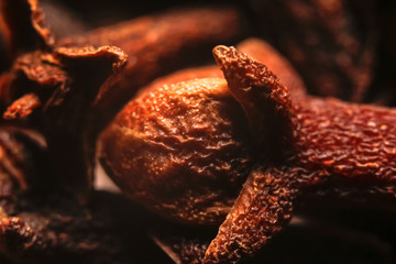 Dried cloves spice. Macro close up photography.