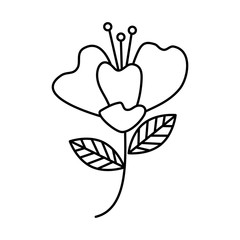 beautiful flower decorative icon