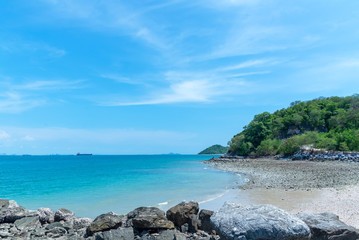 Dream scene. Beautiful tree over white sand beach. Summer nature view