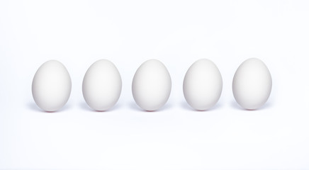 Vector five white realistic animal eggs.