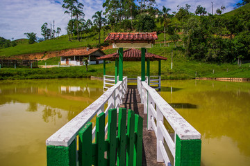 bridge over the river