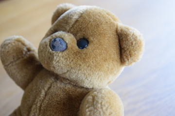 Teddy