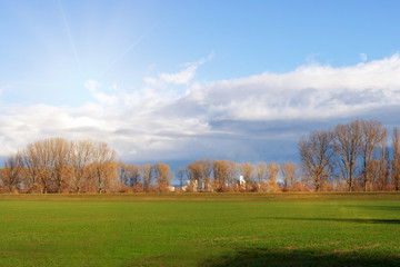 Obraz premium empty fields in winter in countryside. nature in Frankenthal - Germany