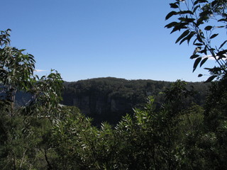 Nature in Australia. Blue Mountains Park