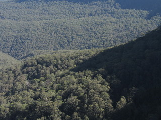 Nature in Australia. Blue Mountains Park