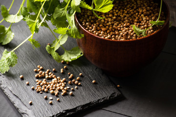 cilantro coriander seeds