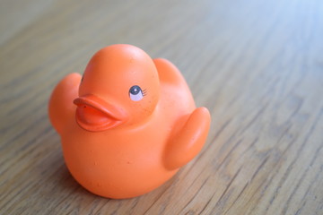 rubber duck