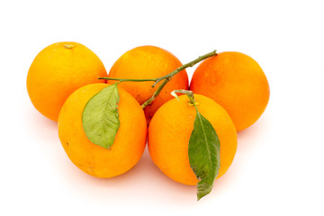 Ripe organic orange fruits with orange leaves isolated on white background