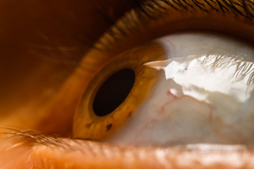 Human women eye. Macro, close up photography.
