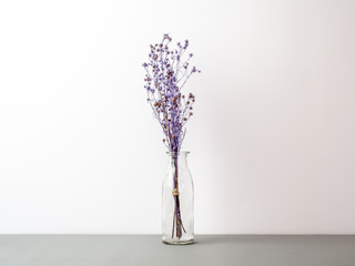 Bouquet of dried and wilted purple Gypsophila flowers in glass bottle on gray floor and white background