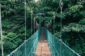 Kuala Lumpur city view from Bukit Nanas Forest Reserve and now called KL Forest Eco-Park. Suspension bridge, walkway to the adventurous, cross to the other side.