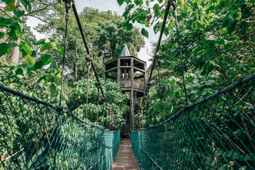 Kuala Lumpur city view from Bukit Nanas Forest Reserve and now called KL Forest Eco-Park....