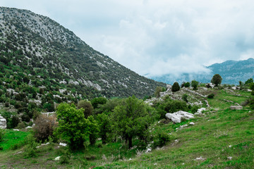Fototapeta na wymiar Green mountains in Lebanon ar springtime