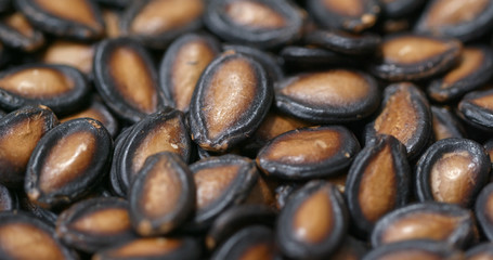 Black watermelon seed