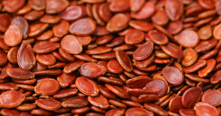 Red watermelon seed
