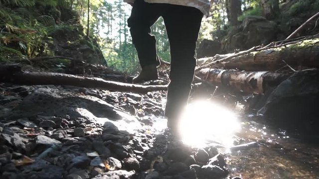 Rear view of guy camper walking through small stream river, follen tree trunks and rocks, slow motion. Footage. Tourist man walking along stones, creek and follen trees in green forest in a sunny day.