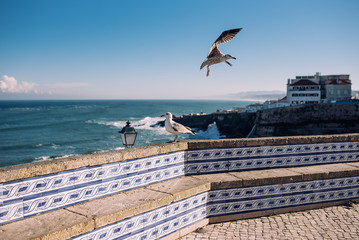 Seagulls at the pier.  Ocean view. Ericeira, Portugal. 