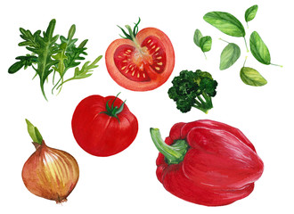 Hand drawn watercolor set of fresh vegetables 