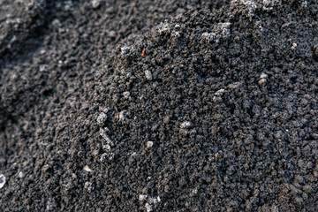 Sand Texture Background