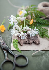 Old tailor scissors and flowers on the wooden background. Vintage country style