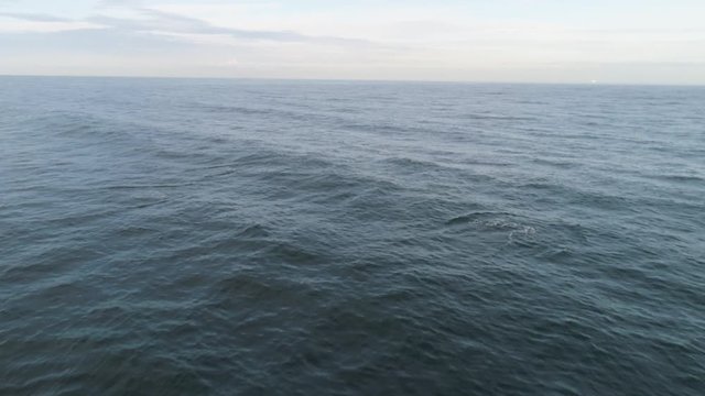 Seascape with dark blue sea with small waves, horizon, and cloudy sky. Shot. Aerial for calm sea or ocean with ripples, natural background.