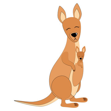  Kangaroo mom Set Vector Illustration