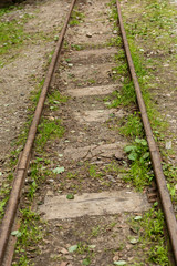 Fototapeta na wymiar Rusty old railroad, grass growing around