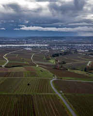 Fototapeta na wymiar Drone photo from vineyards in Oestrich Winkel
