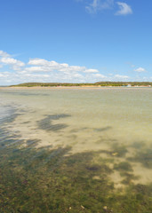 Seaweed and shallow waters on Coroa do Aviao islet - Igarassu, Pernambuco, Brazil