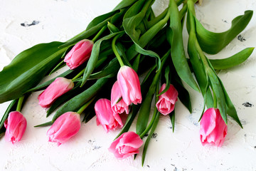 Bouquet of tulip flowers 